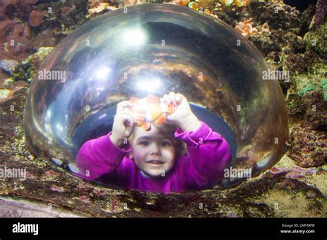 Wien aquarium Fotos und Bildmaterial in hoher Auflösung Alamy