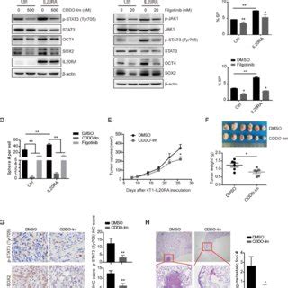 Il Ra Signaling Promotes The Stemness Features Of Breast Cancer In