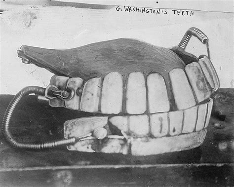 george washingtons teeth wikipedia
