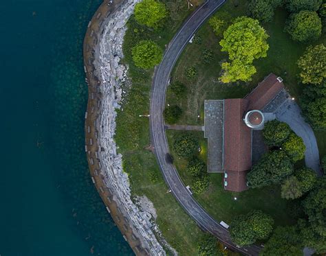 Birds Eye View Of Green Trees And Body Of Water HD Wallpaper Peakpx