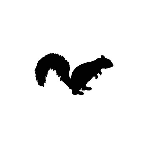 Squirrel Vinyl Decal Sticker V5 Decalshouse