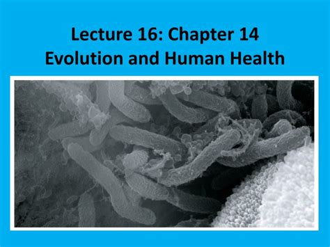 PPT Lecture 16 Chapter 14 Evolution And Human Health PowerPoint