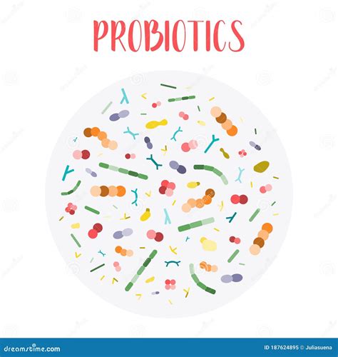 Probiotics Lactic Acid Bacteria Good Bacteria And Microorganisms For