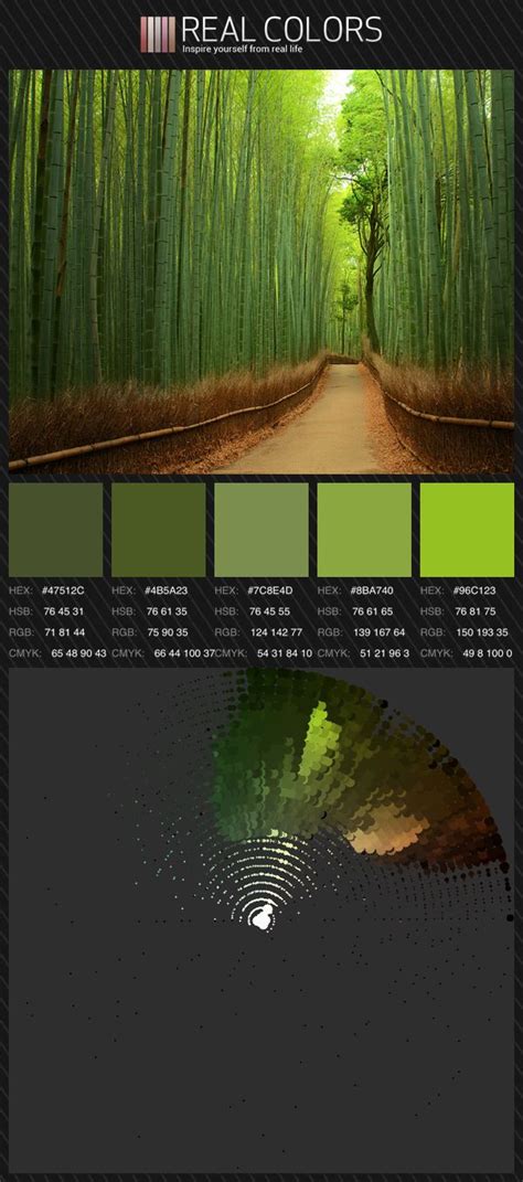 All Green Monochromatic Color Palette Color Palette Generator