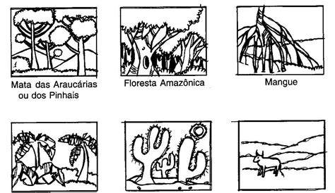 Biomas Brasileiros Para Colorir Librain