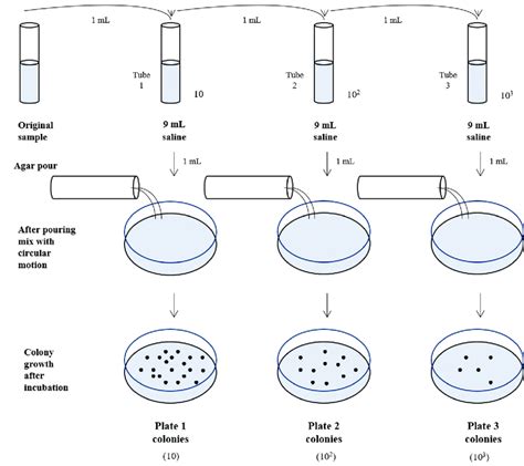 4 Heterotrophic Bacteria Plate Count Assay A Technique Of Indirect