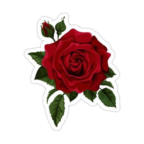 Rose Sticker For Sale By Coryburkhart Rose Drawing Red Rose