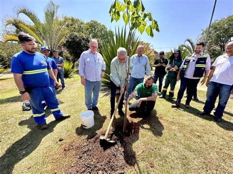 Americana Recebe Mudas Para Reflorestar A Flora Do Ribeir O