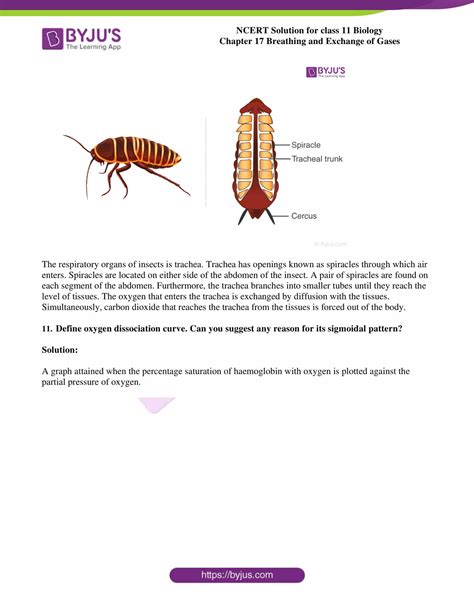 Ncert Solutions Class Biology Chapter Breathing And Exchange Of