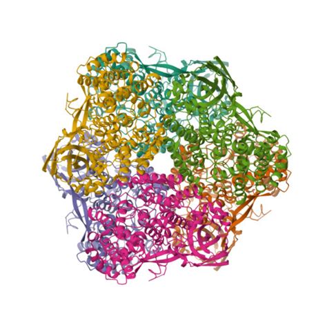 Rcsb Pdb Ze Tribolium Castaneum Hexamerin