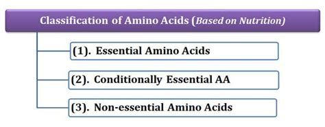 Classification Of Amino Acids In Biochemistry Easybiologyclass