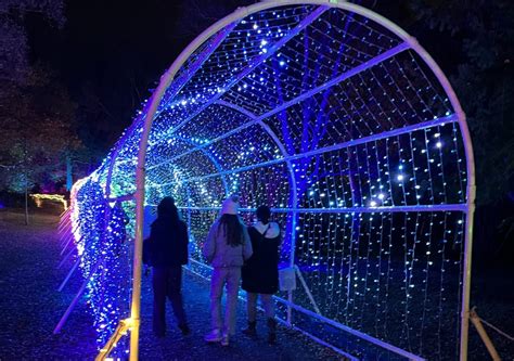 Windsor Great Park Illuminated 2023 - LCI Productions