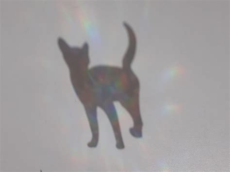 Cat Suncatcher Sticker Pussy Rainbow Maker Sticker Holographic Window Cling Ornament