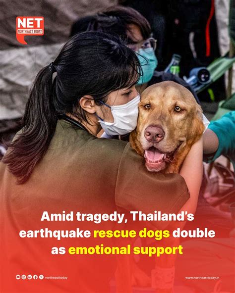 Northeast - #SoutheastAsiaNews | In the aftermath of the devastating