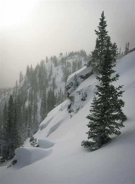 Specials - McGregor Mountain Lodge - Estes Park, CO