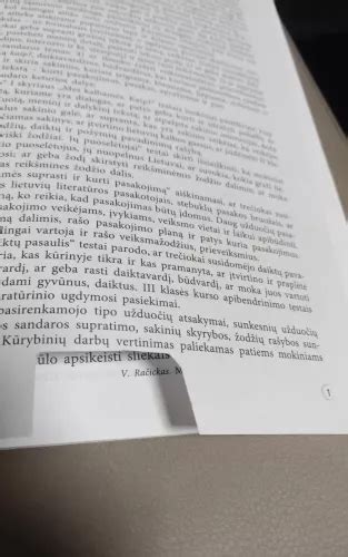 NAUJASIS ŠALTINIS Lietuvių kalbos testai III klasei V Plentaitė E