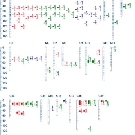 Pdf Update Of Genetic Linkage Map And Qtl Analysis For Growth Traits