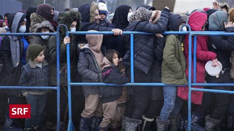 Wieder mehr Flüchtlinge an polnisch belarussischer Grenze Echo der