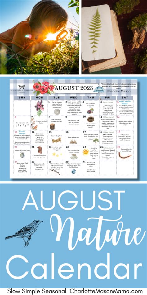 August 2023 Nature Calendar