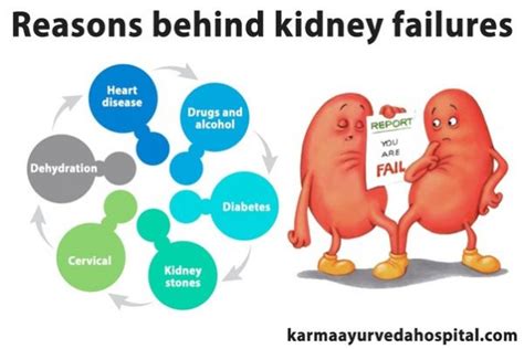 Kidney Failure Diagram