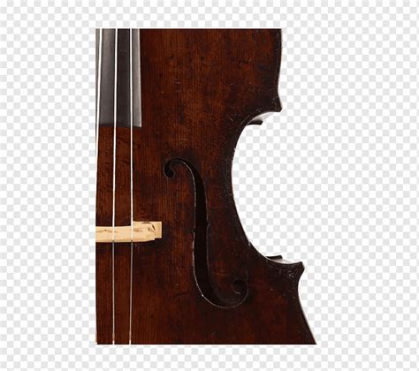 Bajo Viol N Bajo Doble Violone Viola Octobass Viol N Contrabajo