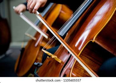 54,172 Chelo instrument Images, Stock Photos & Vectors | Shutterstock