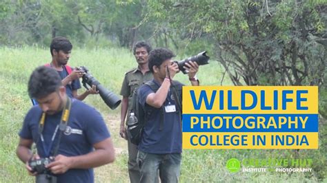 Learn Wildlife Photography Course From Wildlife Photography College In