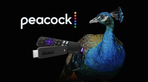 Peacock: How to Download on Roku & Start Streaming - Streaming Clarity