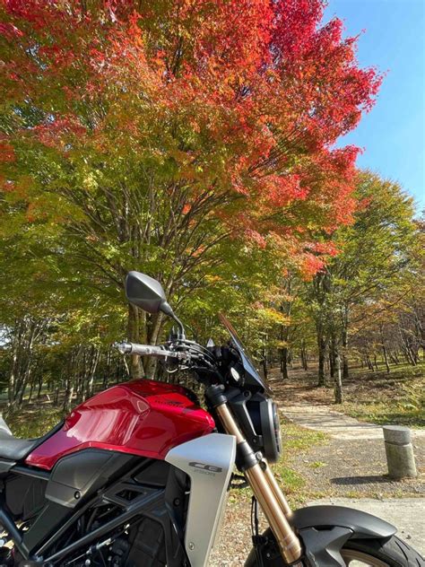 Hikaruさんの投稿したツーリング情報 精進湖畔のニューあかいけさんで鹿肉カレー｜バイクのカスタムツーリング情報ならモトクル