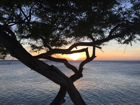Pictures of Bonaire Island - Coral Paradise Bonaire