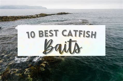 The 10 Best Catfish Baits and WHY Catfish Love Them