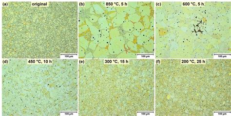 Microstructures Of The Heat Treated Brass Samples In LOM Etched With