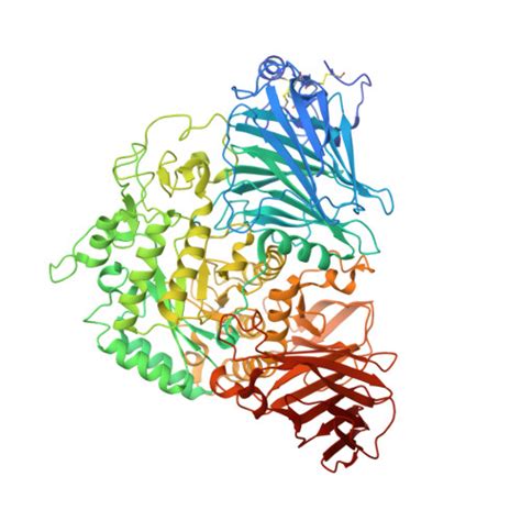 RCSB PDB - 3LPO: Crystal structure of the N-terminal domain of sucrase ...