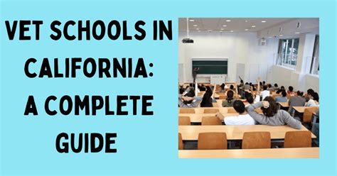 10 Vet Schools In California - (Guide To All Cali Veterinary Schools)