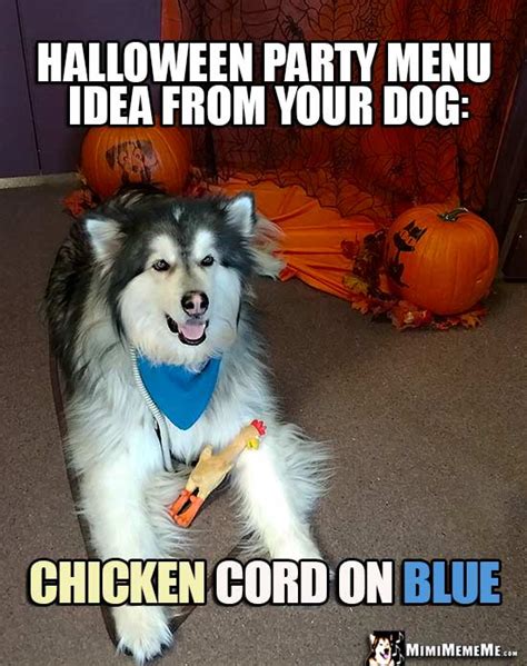 Halloween Dog Jokes, Funny Dogs Wearing Costumes, Spooky Zombie Dog ...