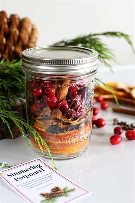 Diy Simmering Potpourri T And Printable Tag Holiday Potpourri