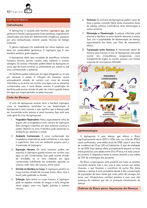 Solution Leptospirose E Sepse Infectologia Cl Nica M Dica Studypool