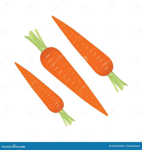 Carrot Realistic Vector Illustration With Leaf Stock Illustration Illustration Of Carrot