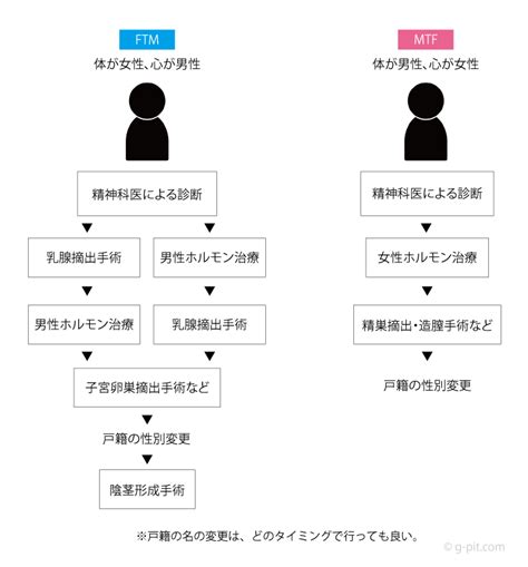 トランスジェンダー手術・性別変更の流れ G Pit トランスジェンダー専門サポート