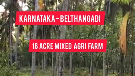 16 Acre Mixed Agri Farm On River Side For Sale Belthangadi