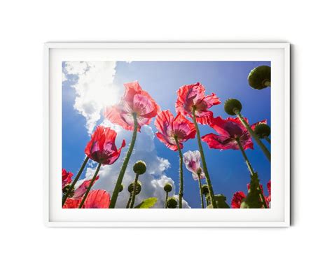 Poppy Flower Wall Art, Fine Art Poppy Photography, Red Floral Print ...