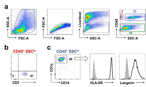 15 Gating Strategy To Identify Immune Cell Populations Isolated From