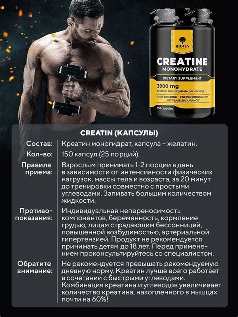 Преимущества и эффекты приема креатина до и после тренировок >> ЗОЖ ...