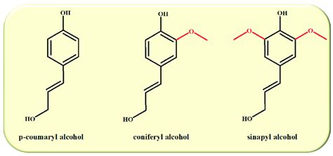 Building Blocks Of Lignin Download Scientific Diagram