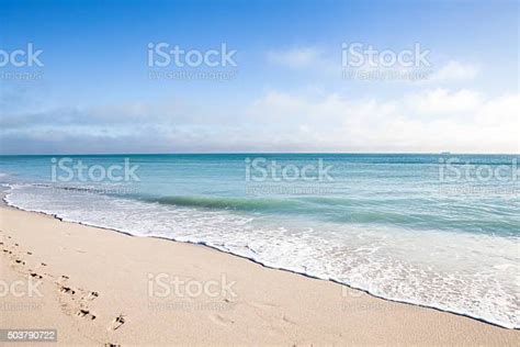 Pantai Miami Florida Foto Stok Unduh Gambar Sekarang Pantai