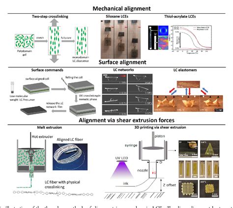 Exchangeable Liquid Crystalline Elastomers And Their Applications