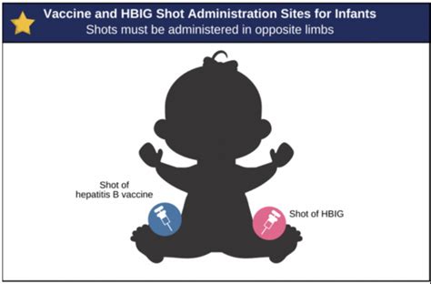 I Am Currently Pregnant And I Have Chronic Hepatitis B What Should I