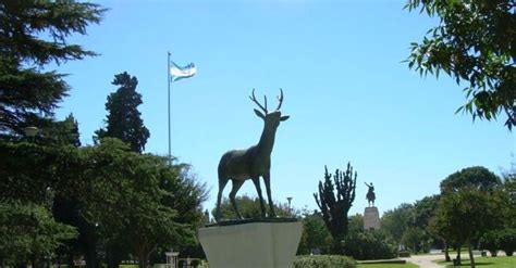 Venado Tuerto A qué se debe este singular nombre Billiken