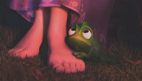 Image - Pascal.Tangled.PNG | Disney Wiki | Fandom powered by Wikia