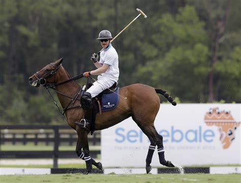 Prince Harry to produce Netflix polo series set in Wellington